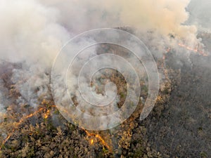 Bushfires in tropical forest release carbon dioxide (CO2) emissions photo