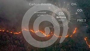 Bushfires in tropical forest release carbon dioxide (CO2) emissions and other greenhouse gases (GHG). photo