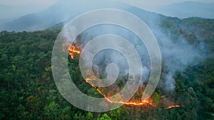 Bushfires in tropical forest release carbon dioxide (CO2) emissions and other greenhouse gases (GHG) photo