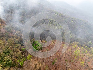 Bushfires in tropical forest release carbon dioxide (CO2) emissions and other greenhouse gases (GHG).