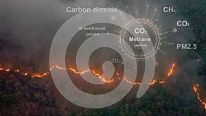Bushfires in tropical forest release carbon dioxide (CO2) emissions and other greenhouse gases (GHG).