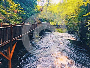 Bushkill Falls boardwalks with flowing water
