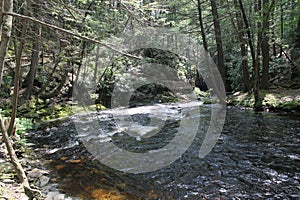 Bushkill Falls river in Pennsylvania