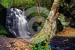 Bushkill Waterfall