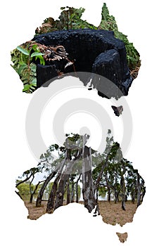 Bushland and landscapes in Australia, from a series of Australian landscape photo illustrations