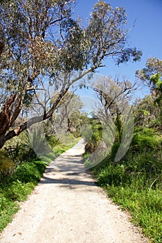 Bushland Walk