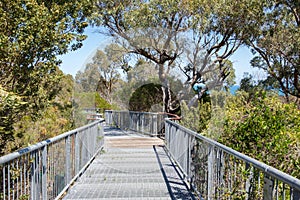 Bushland Walkway