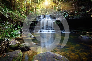 Bushland waterfall and oasis