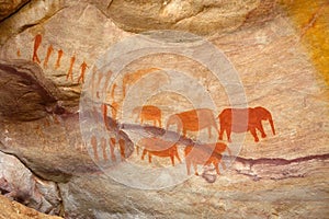 Bushman elephant paintings