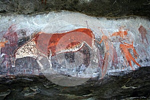 Bushman Rock Art
