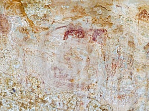 Bushman Rock Art in Ha Khotso