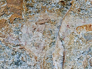 Bushman Rock Art in Ha Khotso