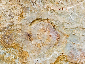 Bushman Rock Art in Ha Khotso