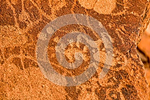 Bushman Rock Engravings - Namibia