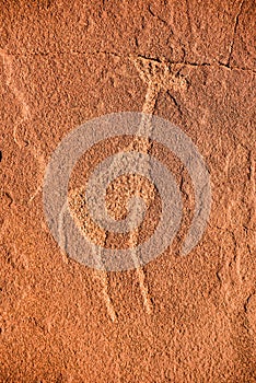 Bushman Rock Engravings - Namibia