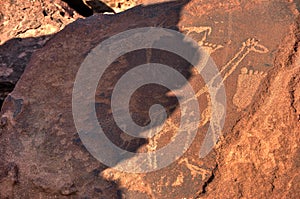 Bushman Rock Engravings - Namibia