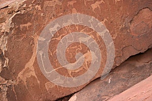 Bushmen Rock Engravings