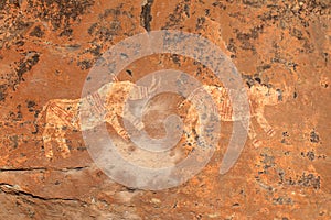 Bushmen rock painting