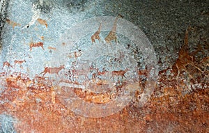 Bushmen Stone age prehistoric animals carvings in the cave Matobo Hills