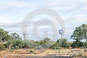 Bushveld landscape with two water-pumping windmills