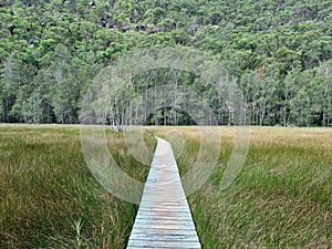 Bushwalk this afternoonÃ°Å¸Ââ