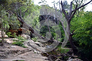 Bushwalking in Lane Cove National Park. photo