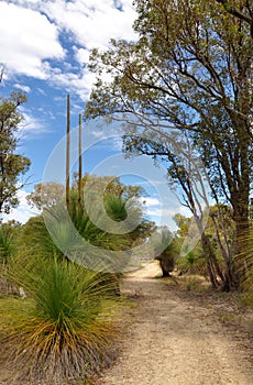 Bushwalking: Western Australia