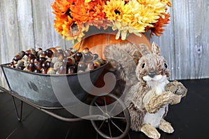 A bushy tailed squirrel with a wheelbarrow full of acorns and a pumpkin filled with mums
