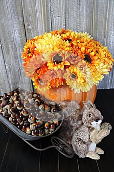 A bushy tailed toy squirrel, a pumpkin with orange and yellow mums and a wheelbarrow full of acorns