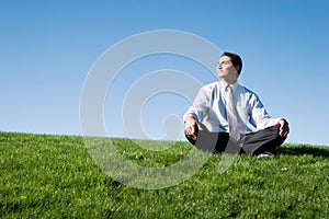 Businesman on green grass