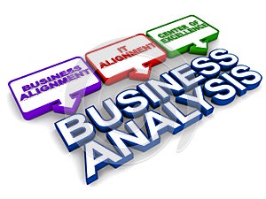 Business Analysis Function