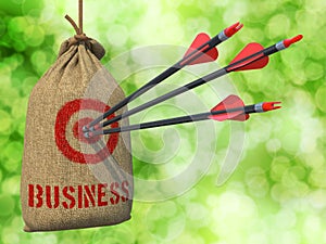 Business - Arrows Hit in Red Target.