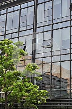 Business background of windows of office buildings