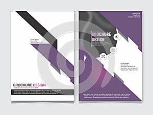 Business Brochure Design Flayer Layout Front and Back side