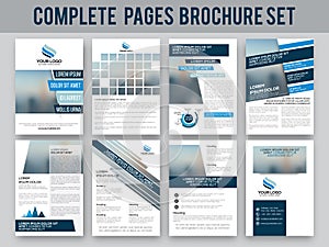 Business brochure, template or flyer set.