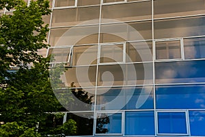 Business buildings, modern architecture, modern office, open Windows, reflection of the blue sky, green flowering tree