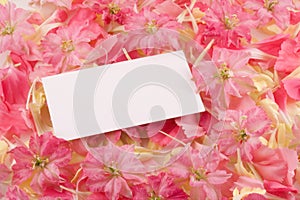 Business card on flowers