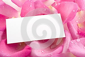 Business card on pink rose petals