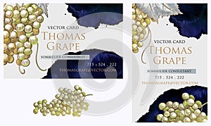 Business cards vector set, botanical design with watercolor ink stains and white grape illustration.