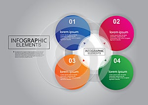 Business circle infographic template vector color design