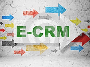 Business concept: arrow with E-CRM on grunge wall background