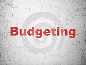 Business concept: Budgeting on wall background