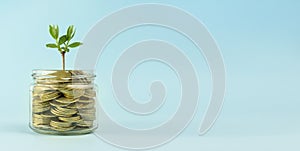 Business concept. Gold coins in a transparent bank on a light background. Recovery, business growth. Copy space