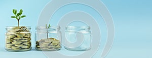 Business concept. Gold coins in a transparent bank on a light background. Recovery, business revival. Copy space