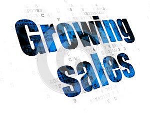 Business concept: Growing Sales on Digital background