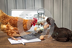 Business concept, hens having a small business meeting discussing egg production, accounts, pay raise, promotion and tax