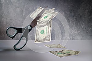 Business concept, one Dollar banknote is cut with scissors, metaphor for income reduction during coronavirus crisis, gray