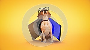 Business concept pet dog using laptop computer.