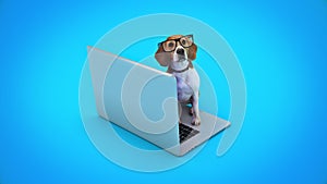 Business concept pet dog using laptop computer.