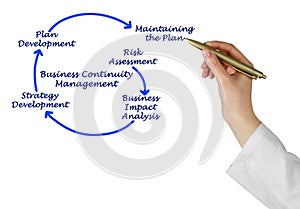 Business Continuity Management Steps